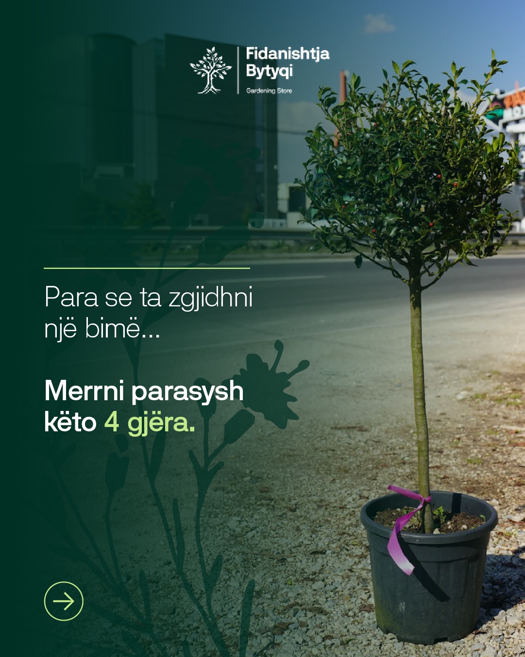 Kopshti i bukur fillon me zgjedhjen e duhur të bimëve!