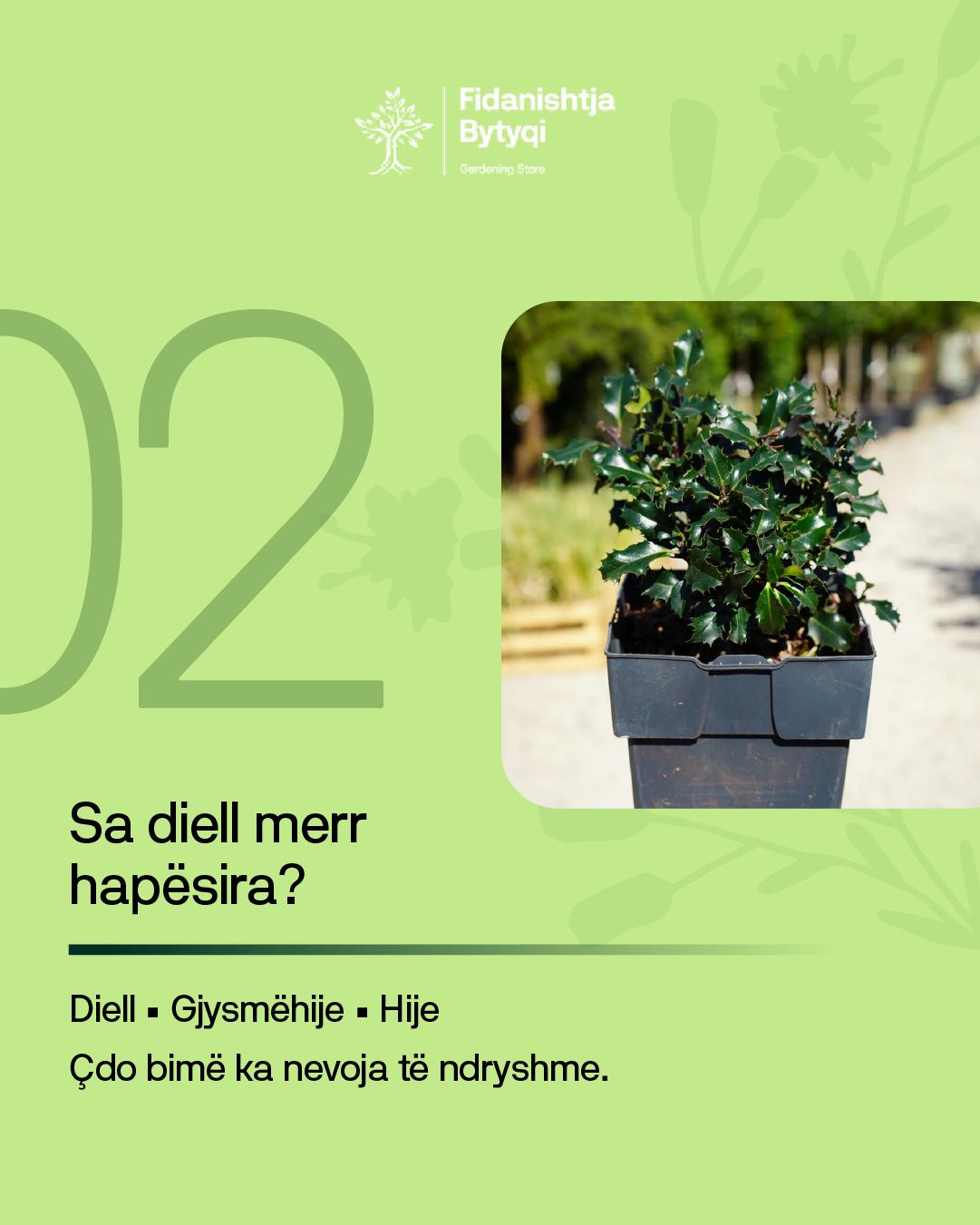 Kopshti i bukur fillon me zgjedhjen e duhur të bimëve! – Fidanishtja Bytyqi (3)