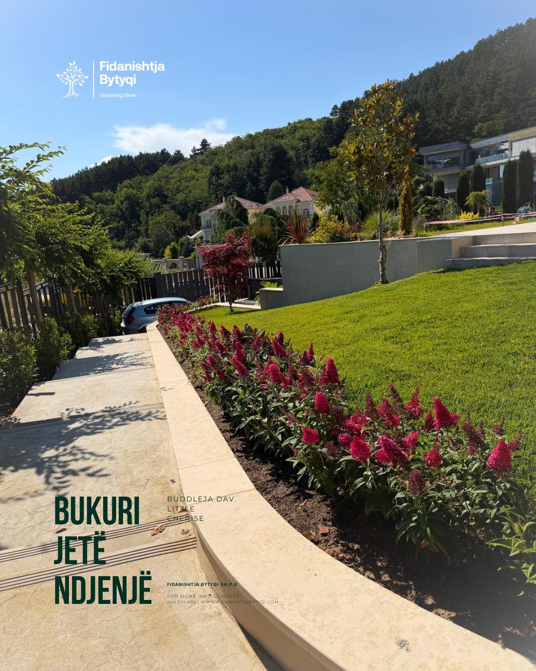 Ka lule që zbukurojnë një hapësirë