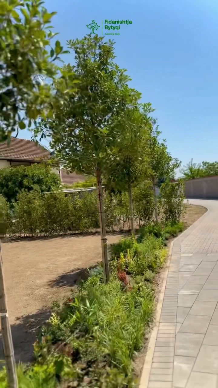 Një bimë e mbjellë me kujdes flet vetë për duart që e kanë