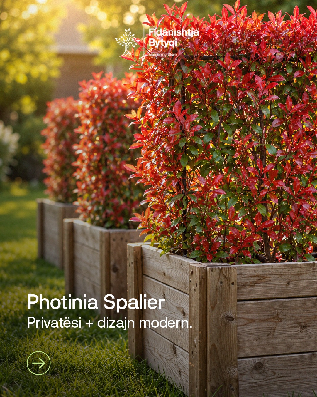 Më shumë privatësi – Fidanishtja Bytyqi (2)