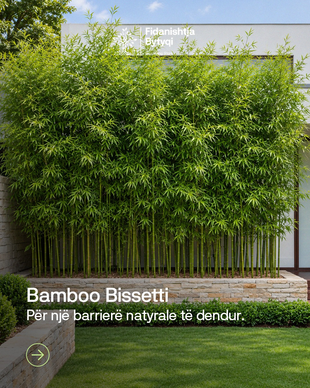 Më shumë privatësi – Fidanishtja Bytyqi (3)