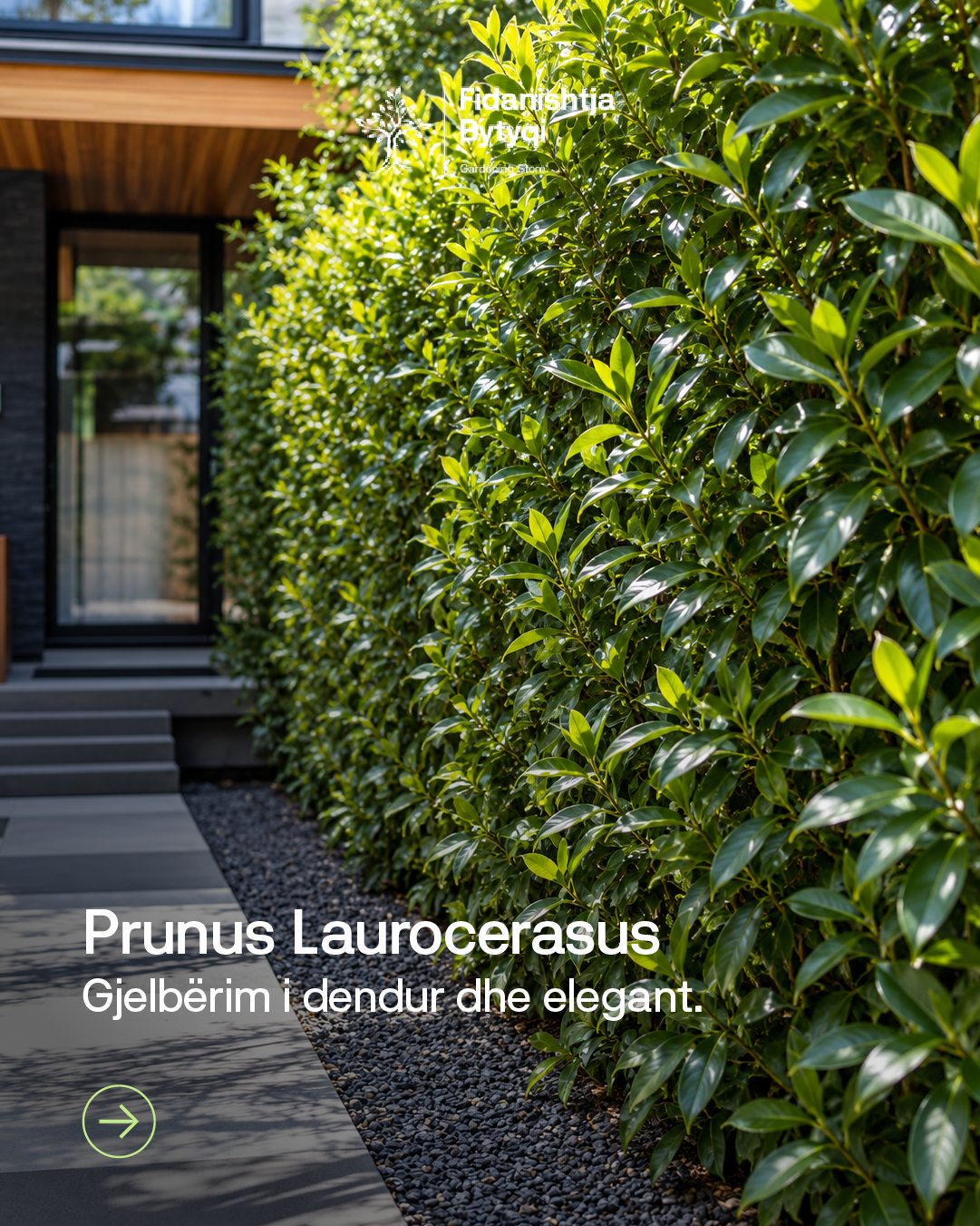 Më shumë privatësi – Fidanishtja Bytyqi (4)