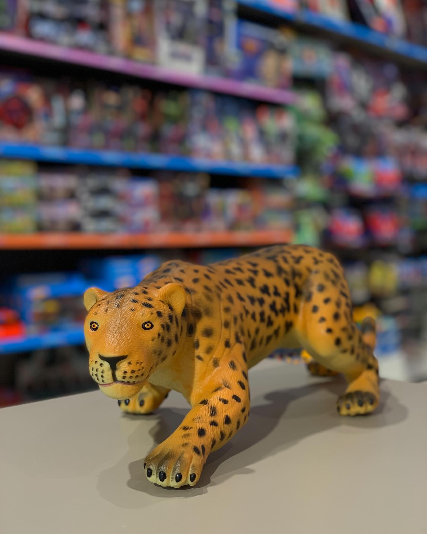 Loder gome leopard
