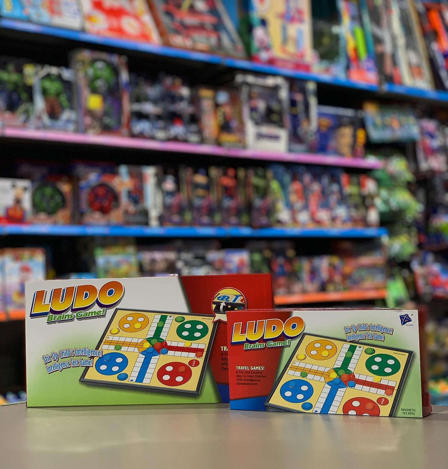 Loje Ludo magnetike