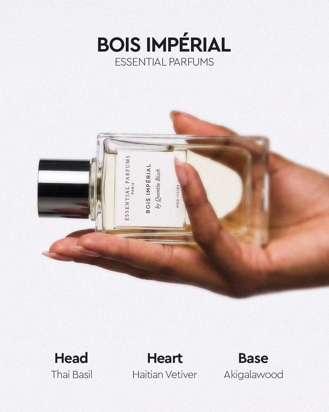 A new name joins Maison – Maison De Parfum Prishtina (2)