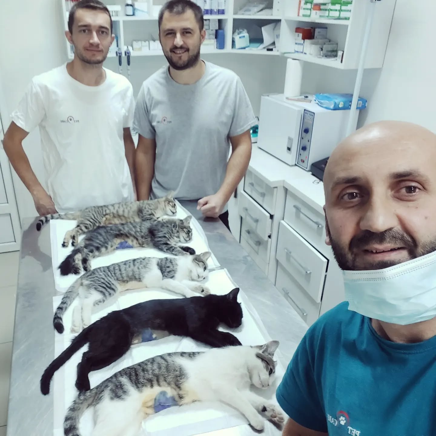 Moda nga Klinika Veterinare 'Pet Care' – Klinika Veterinare 'Pet Care' (2)