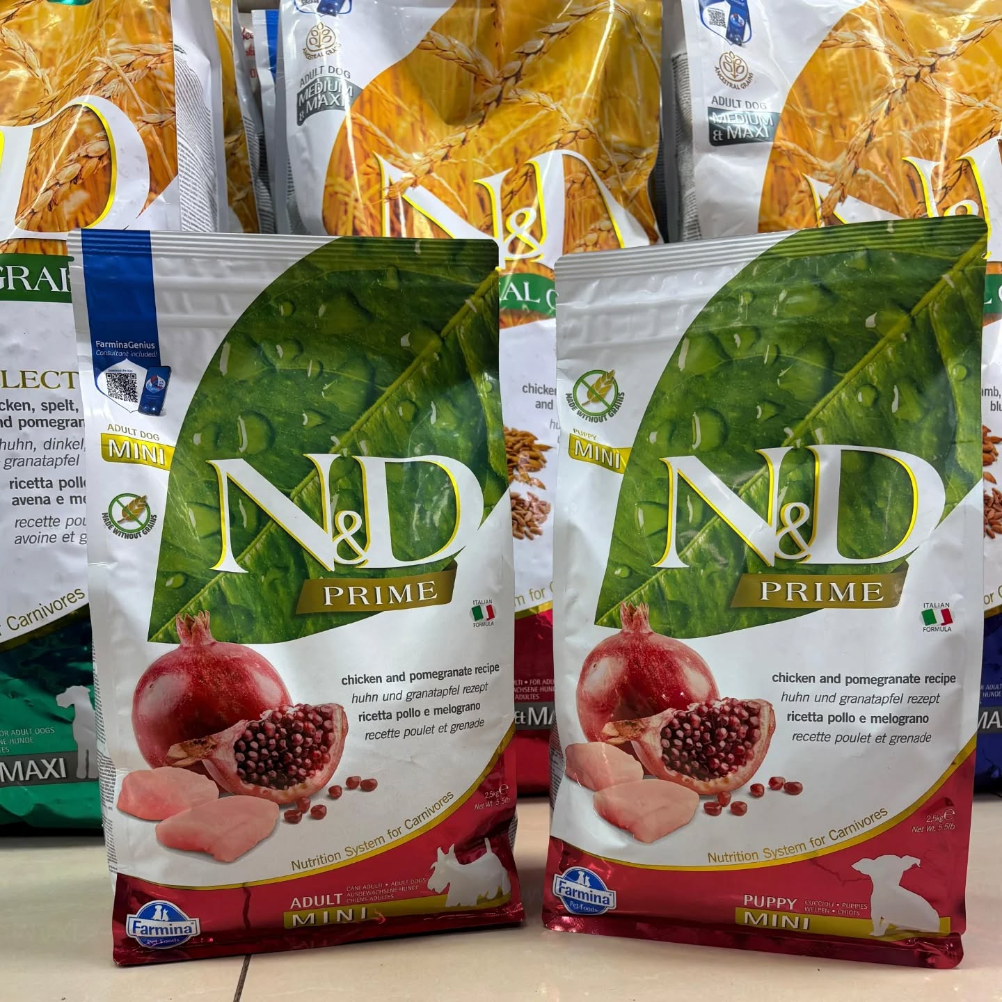 Moda nga Klinika Veterinare 'Pet Care'