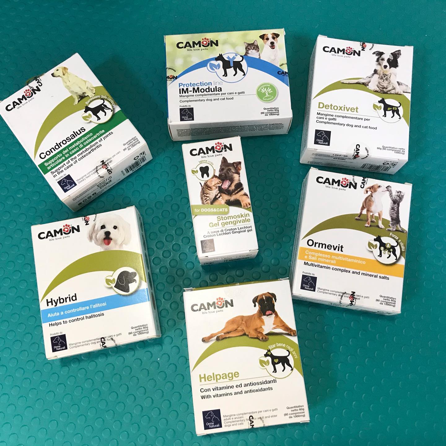 Moda nga Klinika Veterinare 'Pet Care' – Klinika Veterinare 'Pet Care'