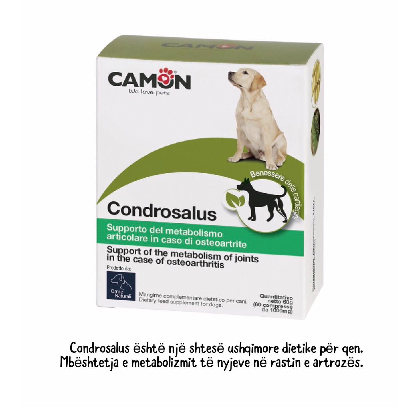 Moda nga Klinika Veterinare 'Pet Care' – Klinika Veterinare 'Pet Care' (2)