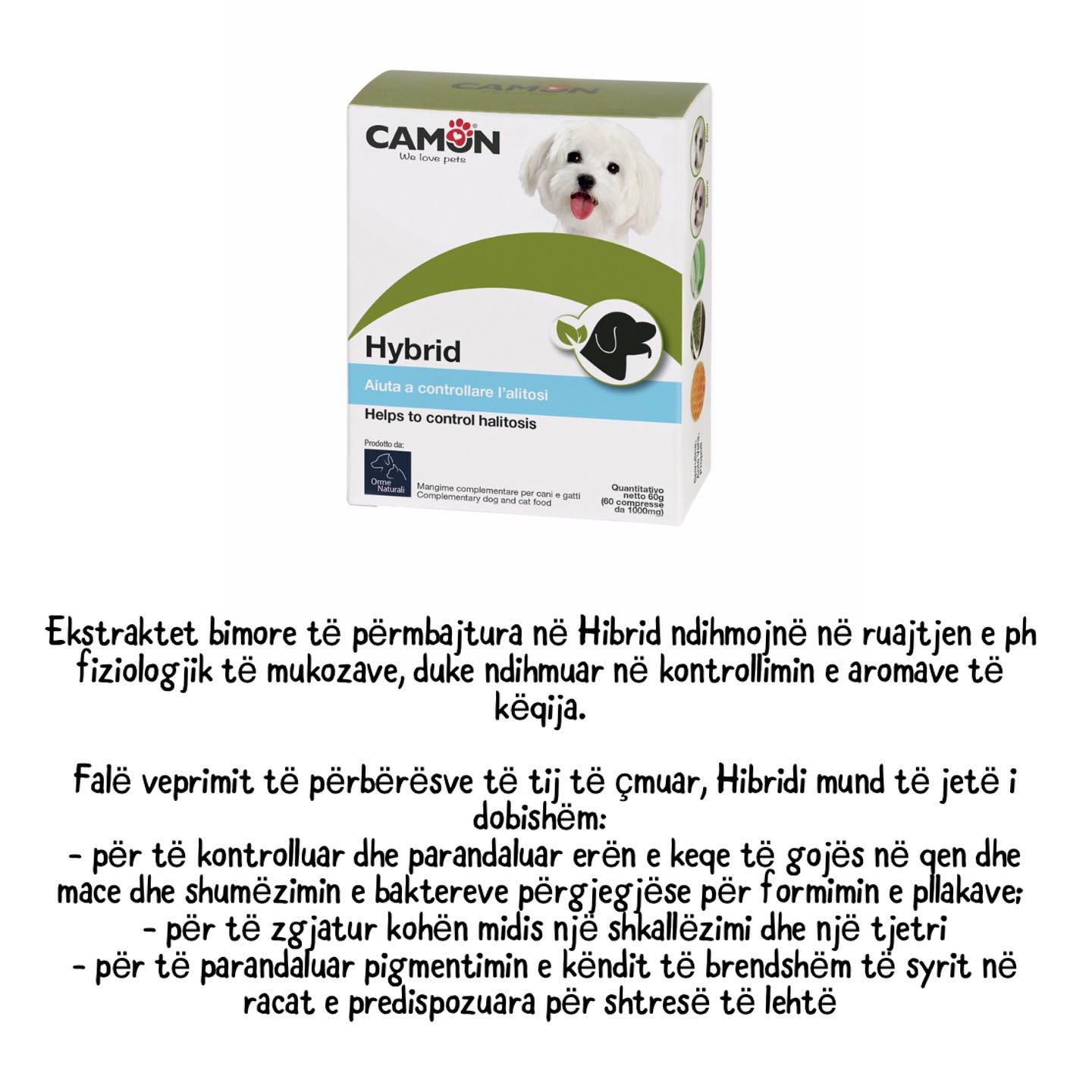 Moda nga Klinika Veterinare 'Pet Care' – Klinika Veterinare 'Pet Care' (3)