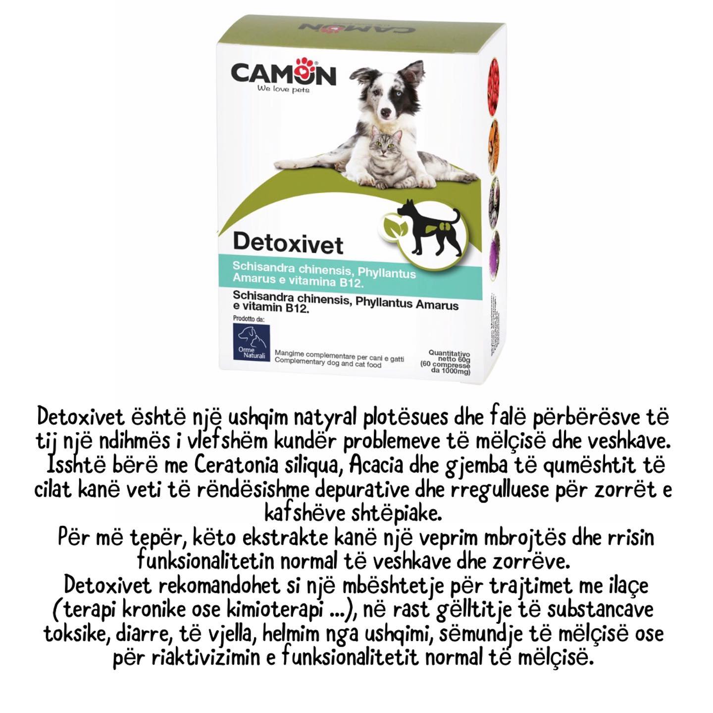 Moda nga Klinika Veterinare 'Pet Care' – Klinika Veterinare 'Pet Care' (4)