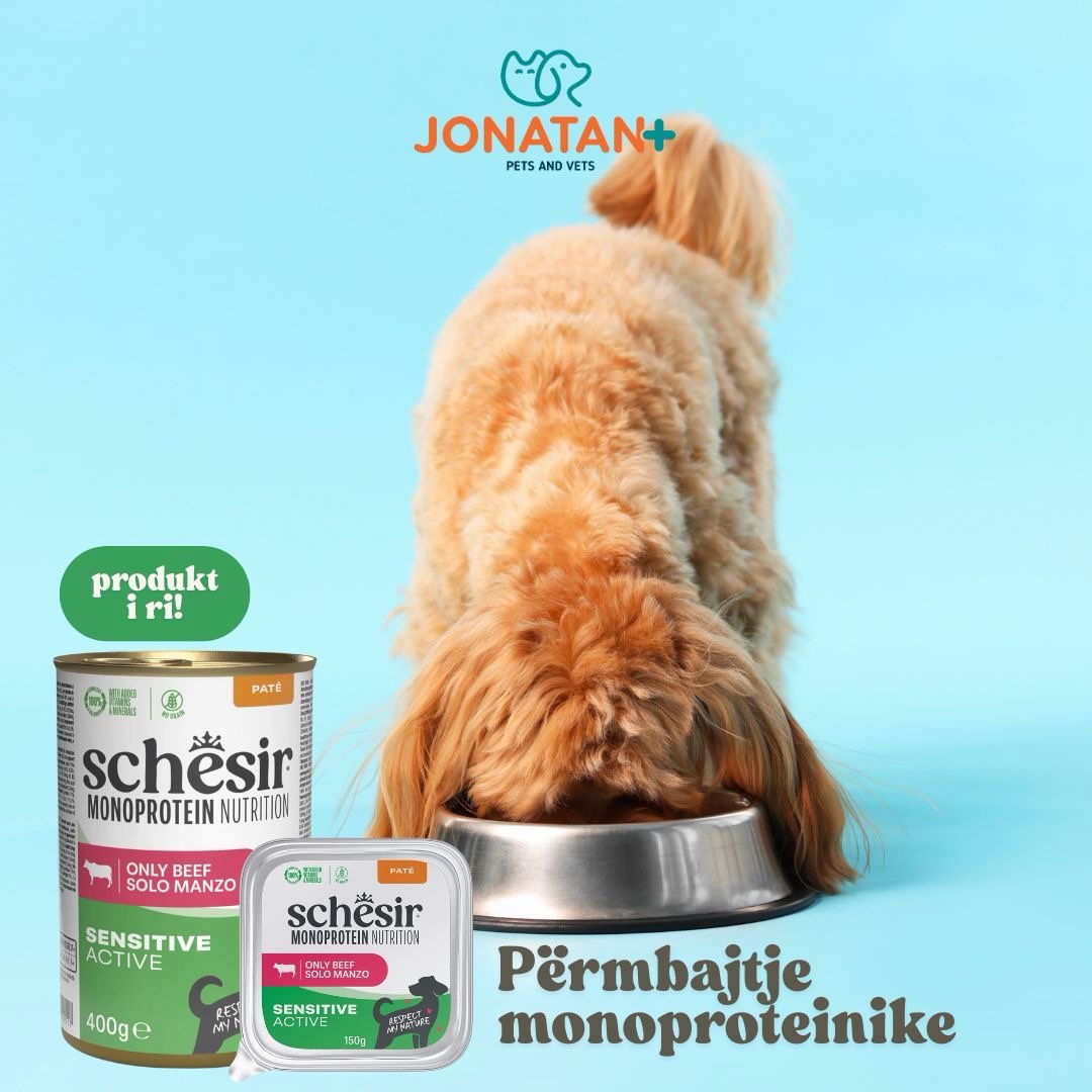 Produkte të reja mga super brendi schesir