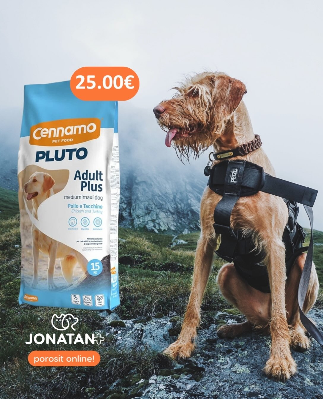 Nxito dhe përfito nga oferta më e mirë!