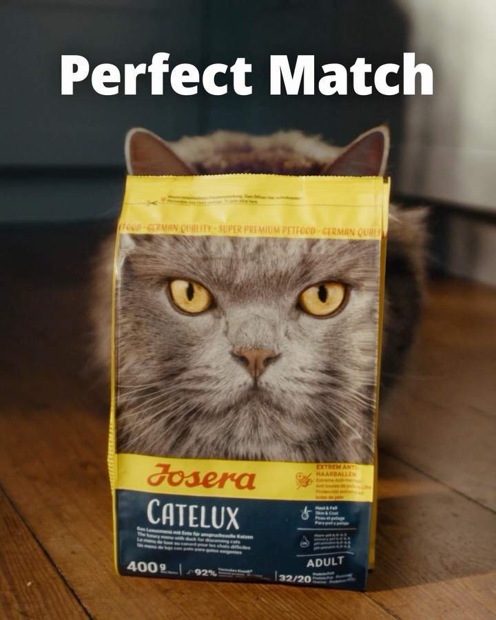 Perfect Match!
