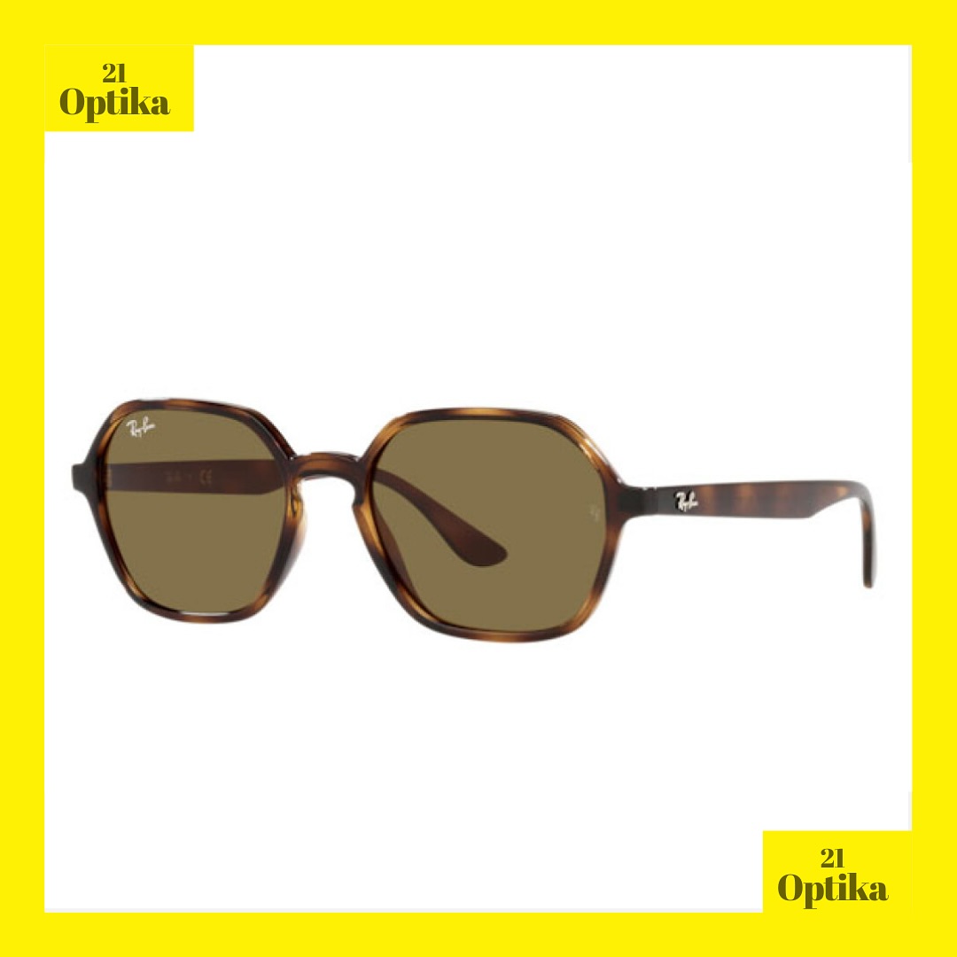 Ray-Ban Havana