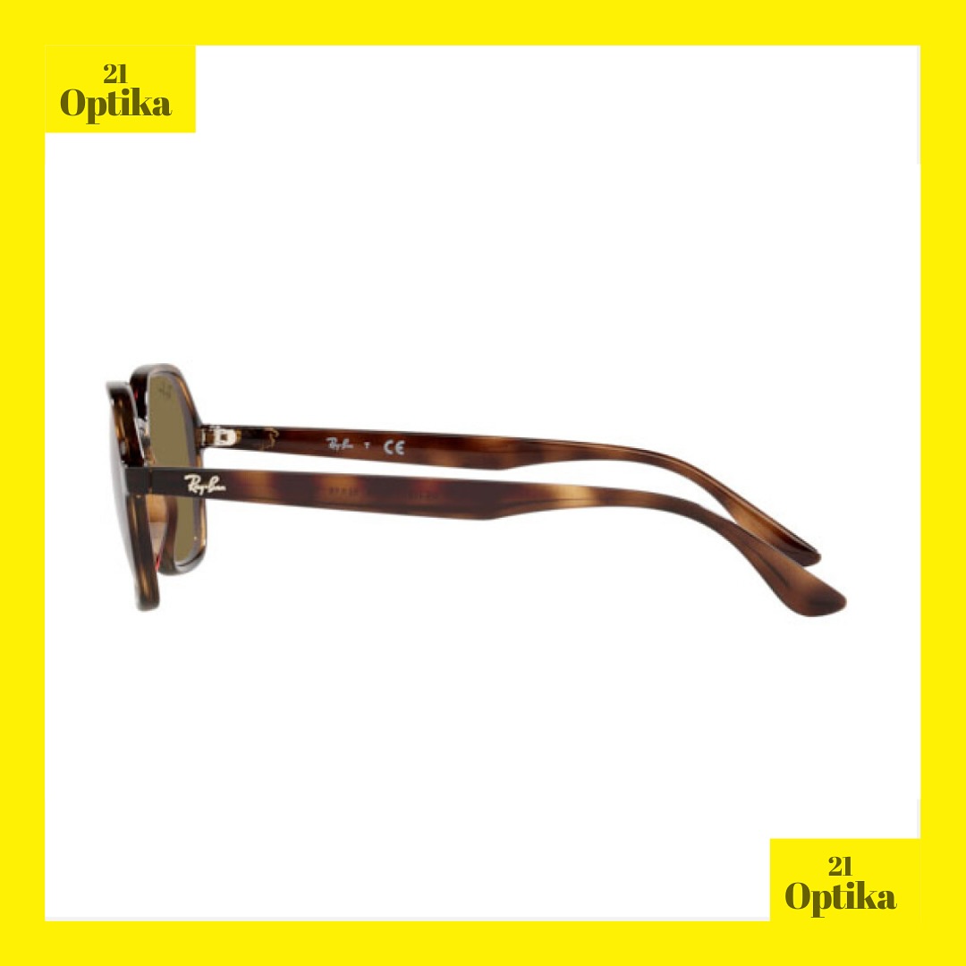 Ray-Ban Havana