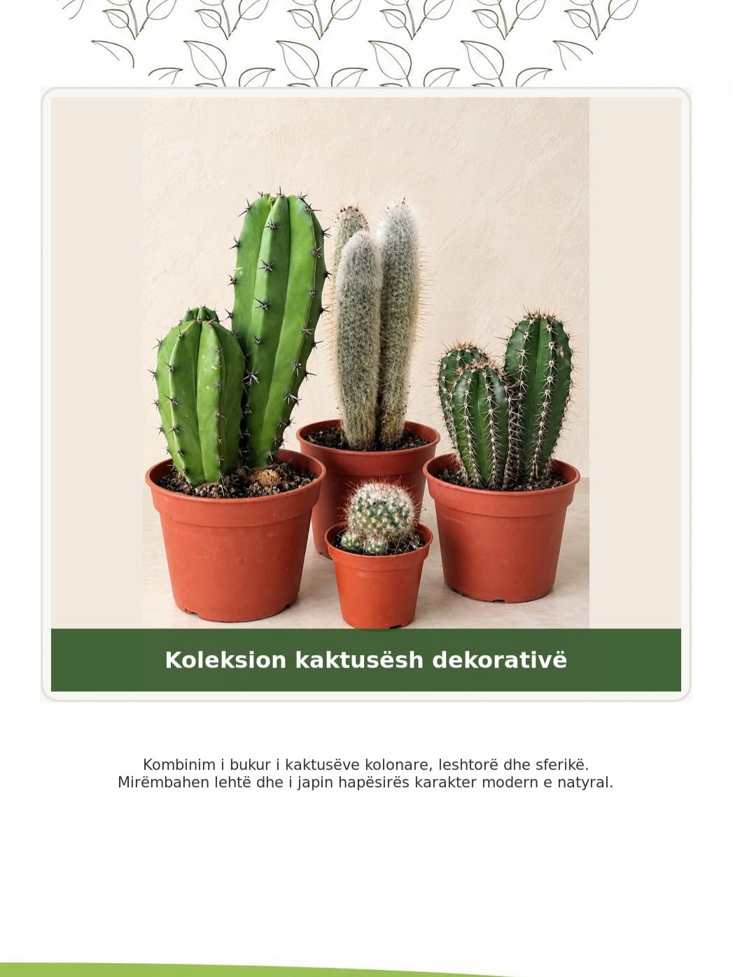 Të vegjël në madhësi, gjigantë në stil! – lulishtja.agonisi (3)