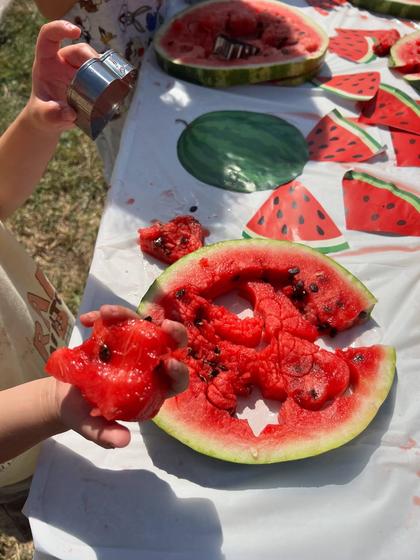 Watermelon shape cutting fun – KosovaKids Education Center (3)