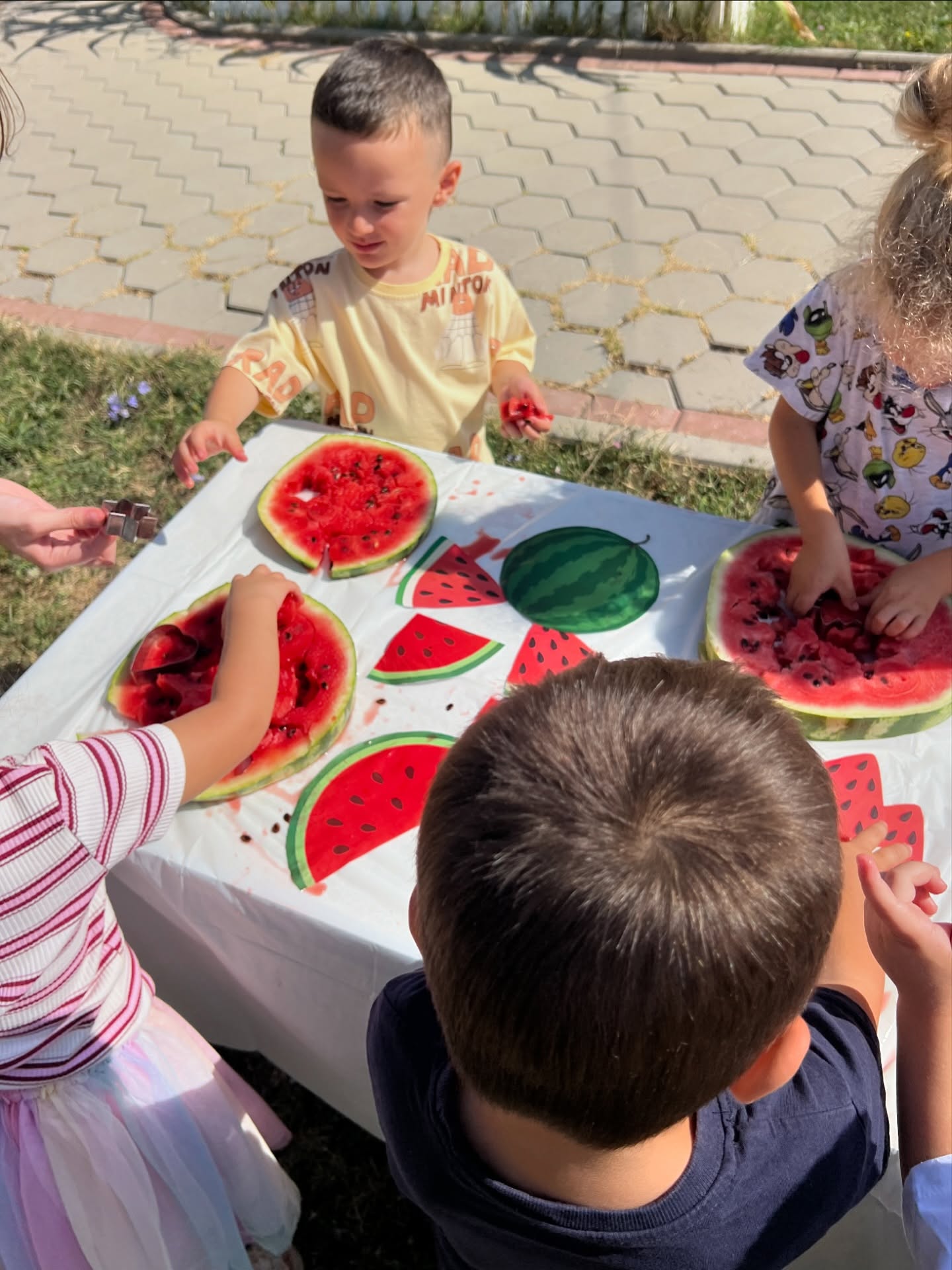 Watermelon shape cutting fun – KosovaKids Education Center (4)