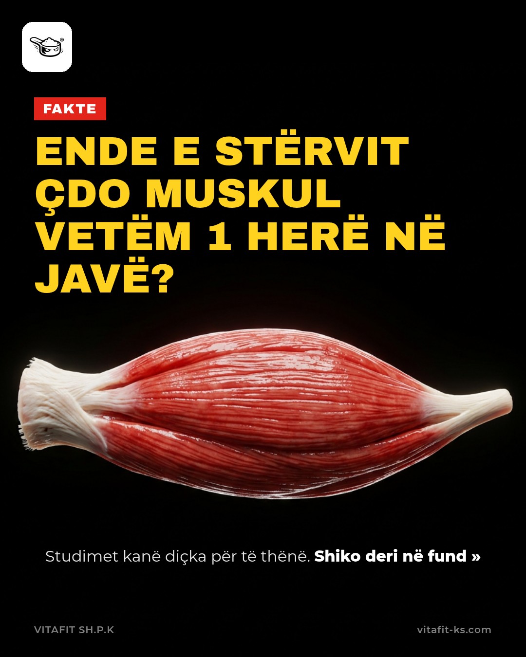 Ende chest day vetëm të hënën?