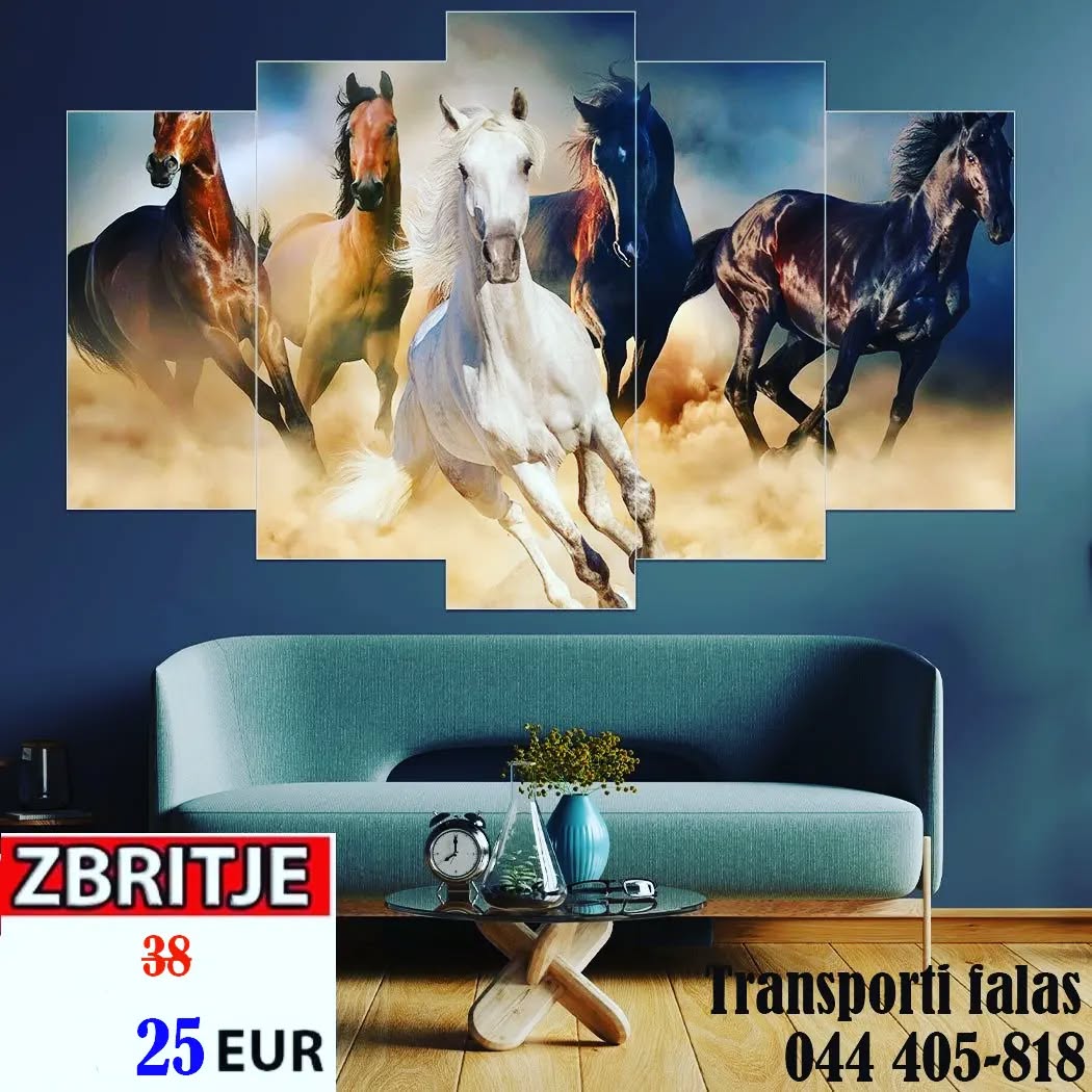 Piktura te bukura dhe sipas deshires per Sallone – Dhurata Ime (4)