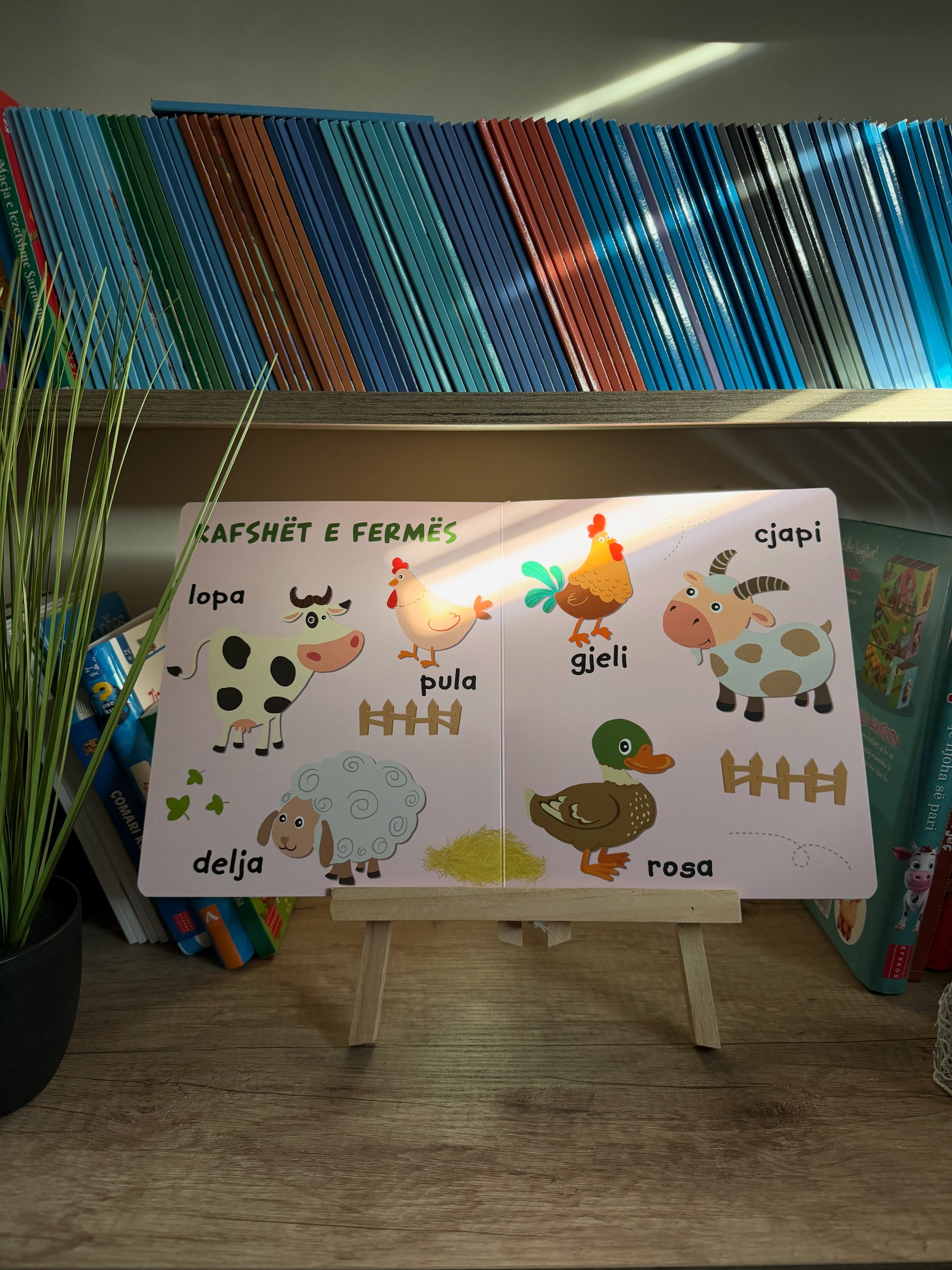 Hapa te vegjel KAFSHËT – Libra • Lodra • Edukim • Mëmësi (2)