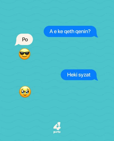 Qethje dhe kujdes për qentë