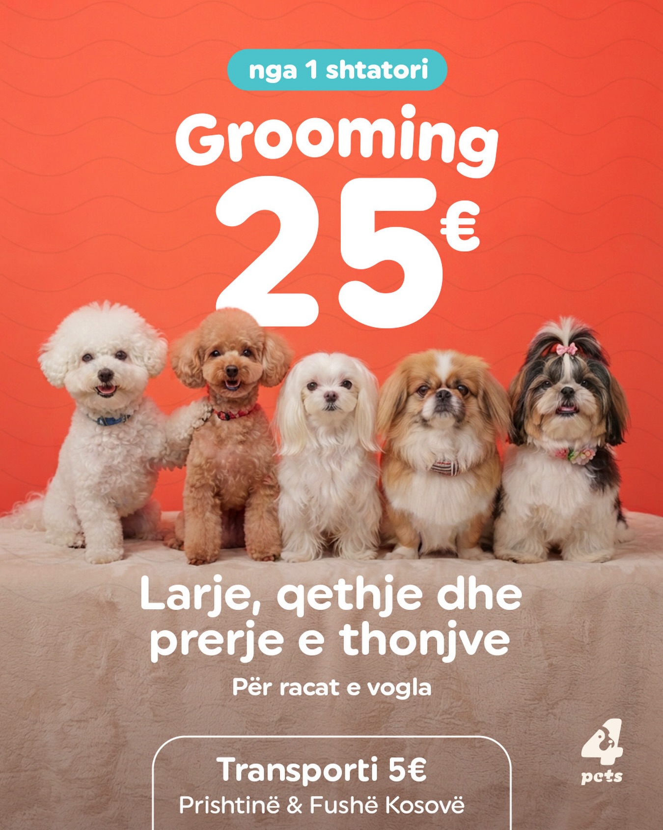 Larje, qethje dhe prerje thonjsh për qen – 4pets.prishtina