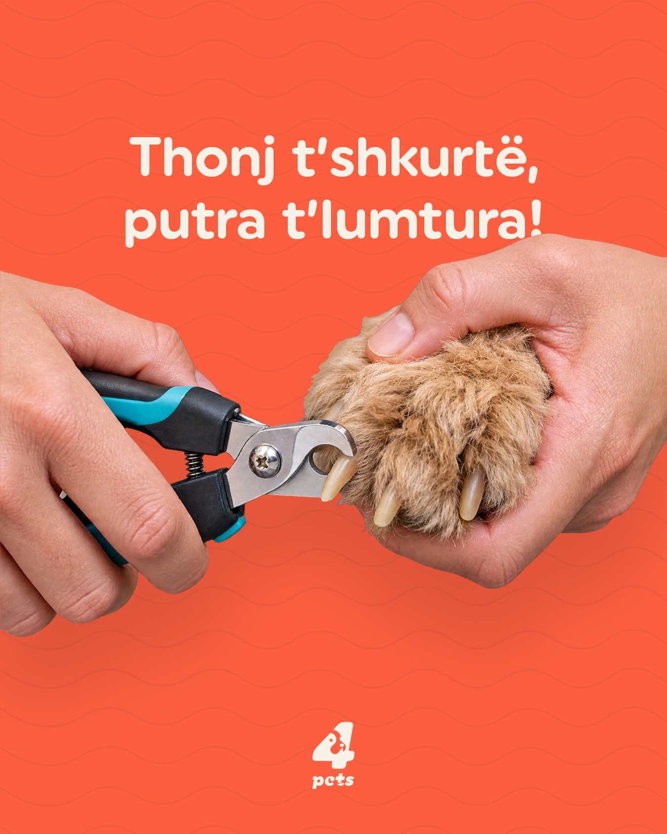Prerje e thonjve për qentë – 4pets.prishtina