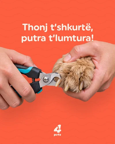 Prerje e thonjve për qentë