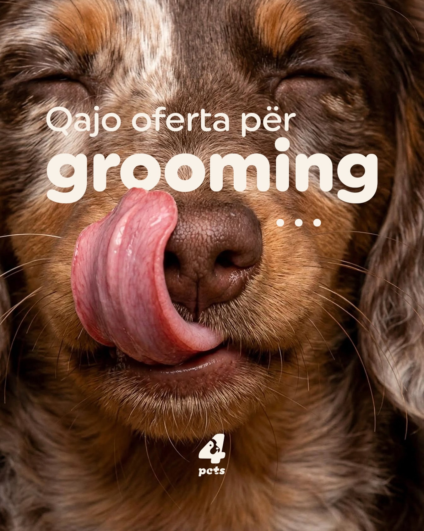 Ofertë për qethjen dhe larjen e qenve – 4pets.prishtina