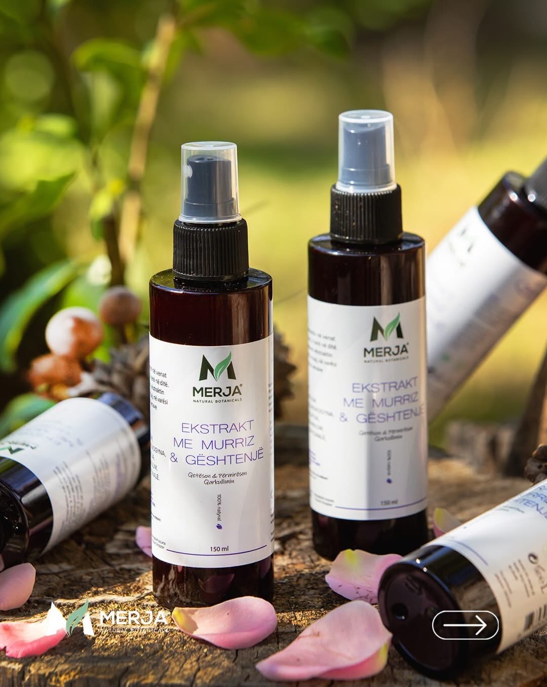 Ekstrakt murrizi për këmbë të rënduara – Bio Produkte Merja