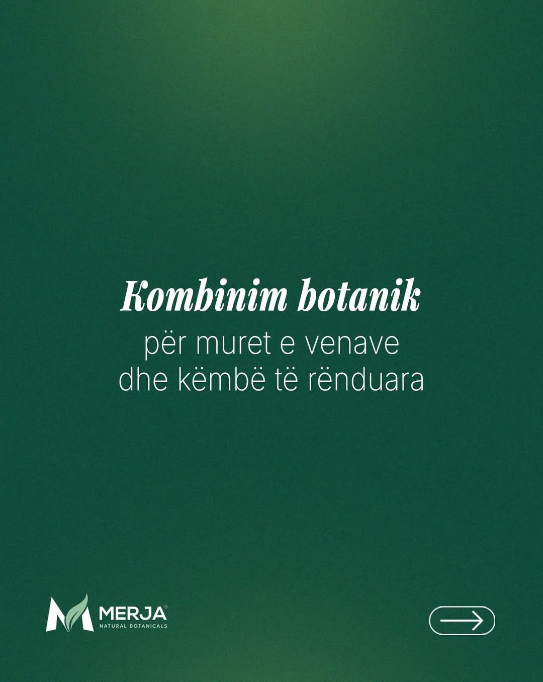 Ekstrakt murrizi për këmbë të rënduara – Bio Produkte Merja (2)