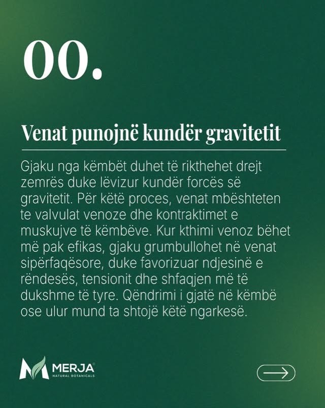 Ekstrakt murrizi për këmbë të rënduara – Bio Produkte Merja (4)