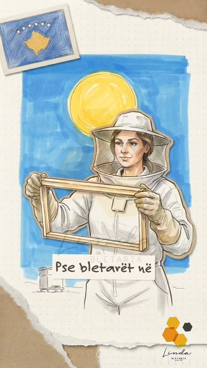 Ilustrim bletareje me kornizë hojesh – Bletaria Linda - Ferizaj