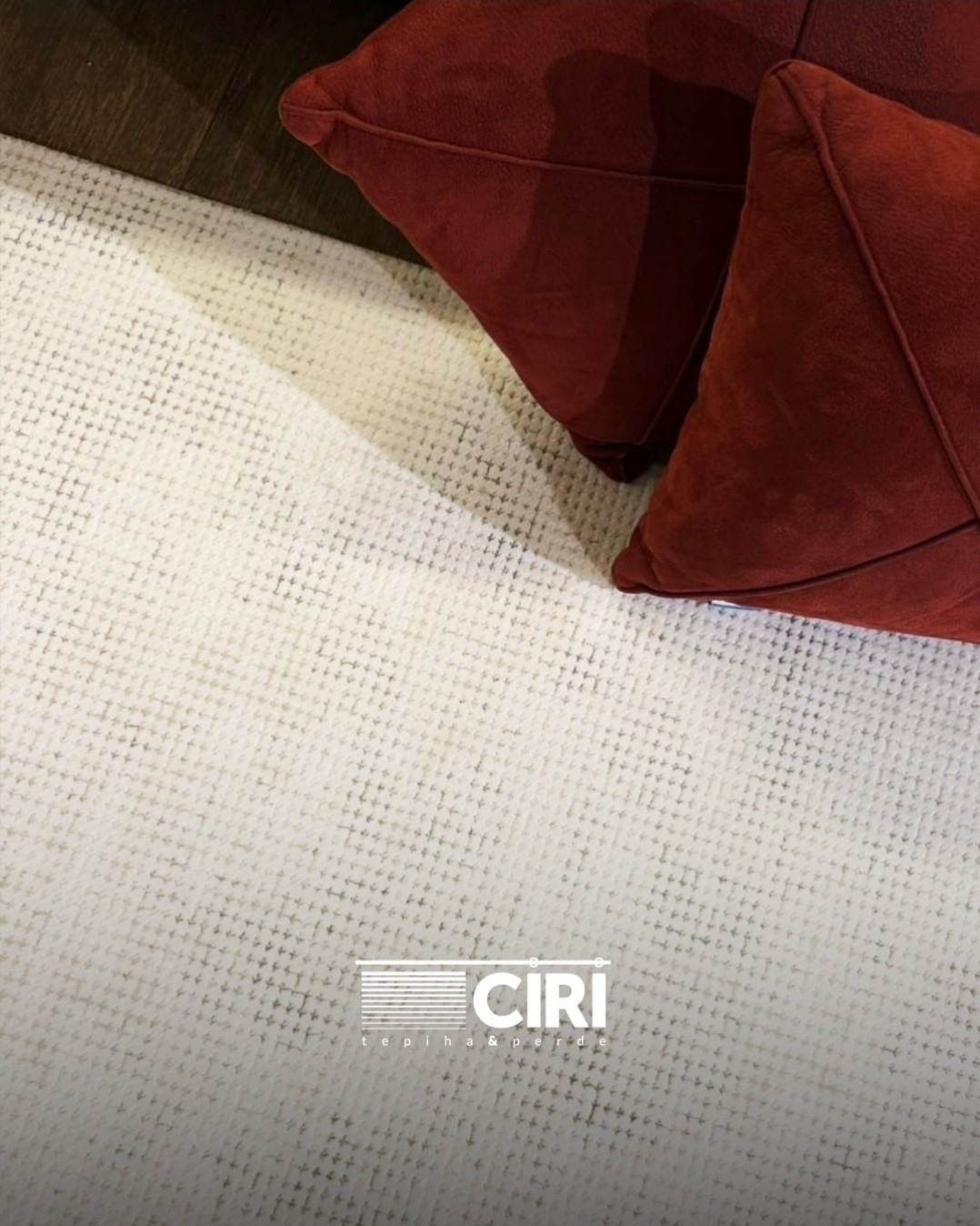 Tepison gri Lizbon me motive të imëta – CIRI (3)