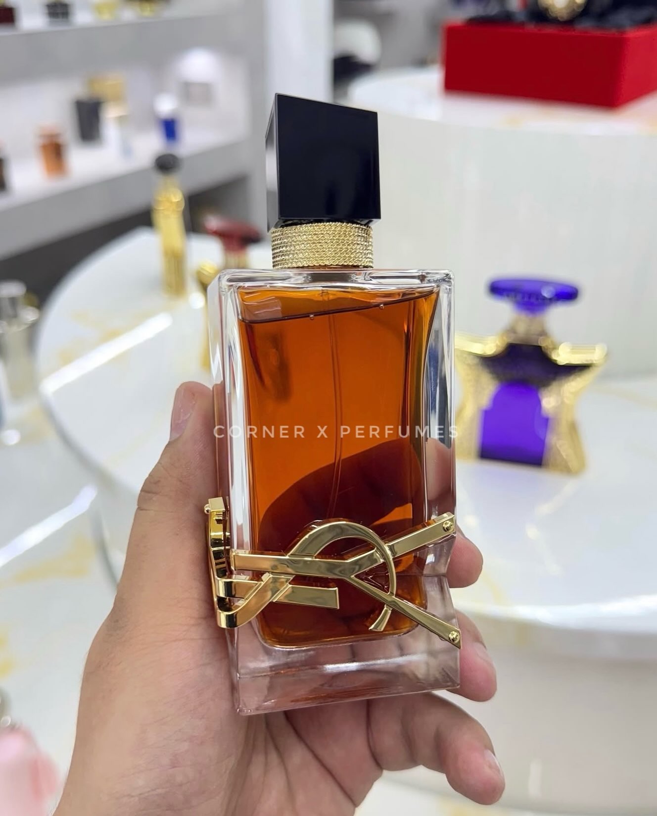 Parfume Xerjoff Naxos dhe Jean Paul Gaultier – THE PERFUME SHOP / CORNER (4)