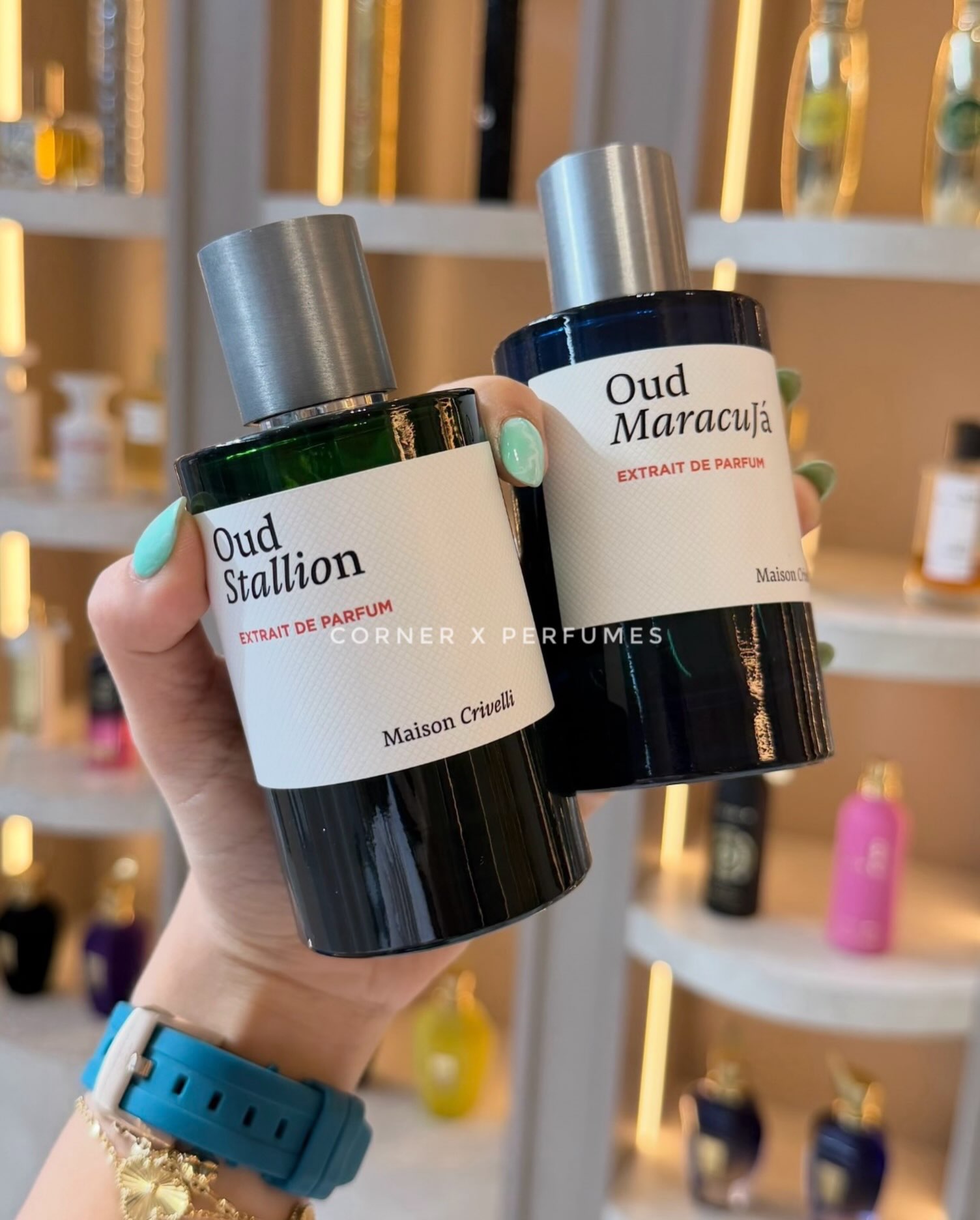 Parfume Maison Crivelli Oud Stallion dhe Oud Maracujá – THE PERFUME SHOP / CORNER