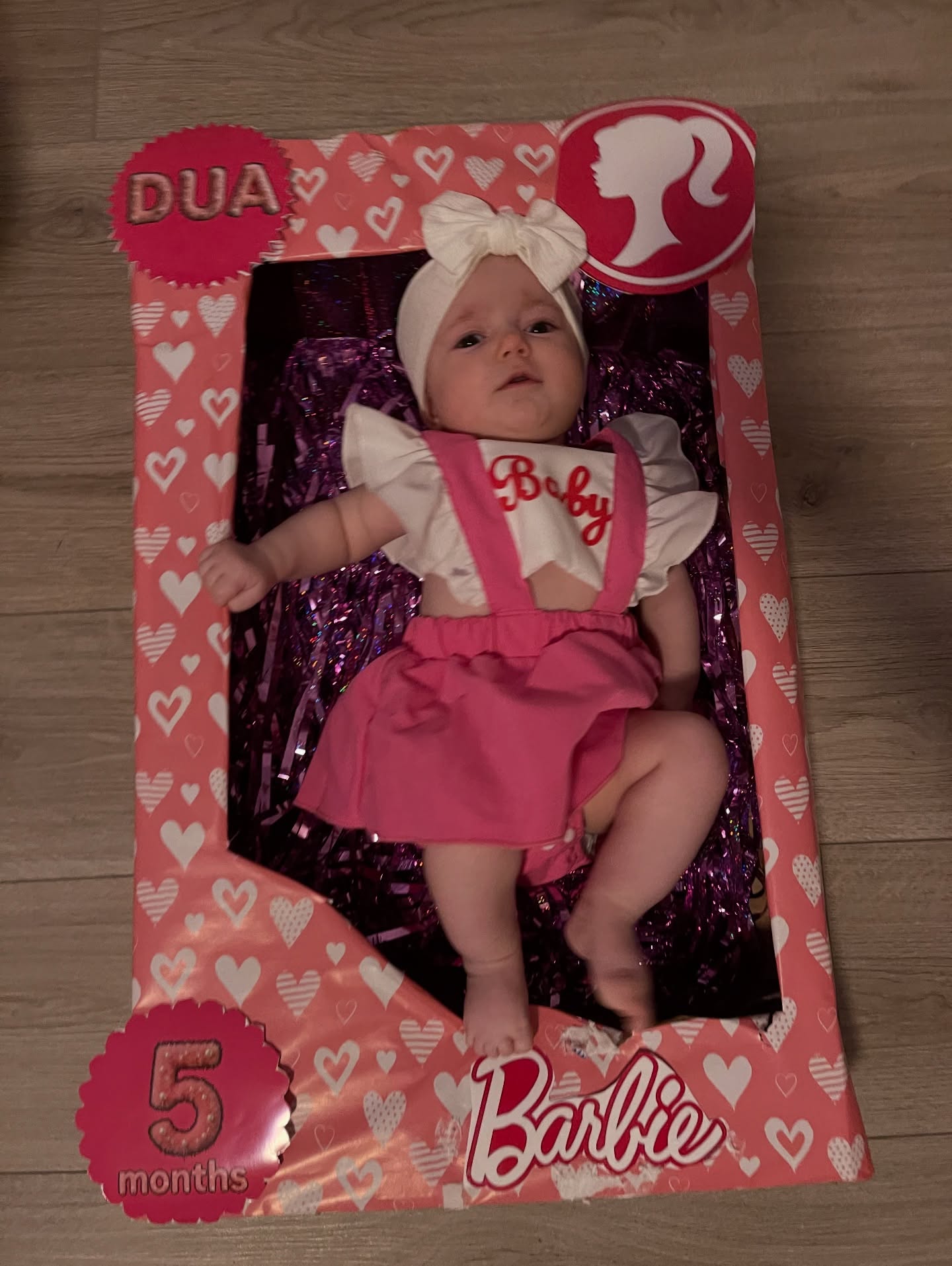 Kuti dekorative Barbie për foto bebeje – Dua (2)