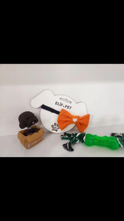 Papion për qen dhe mace në disa ngjyra