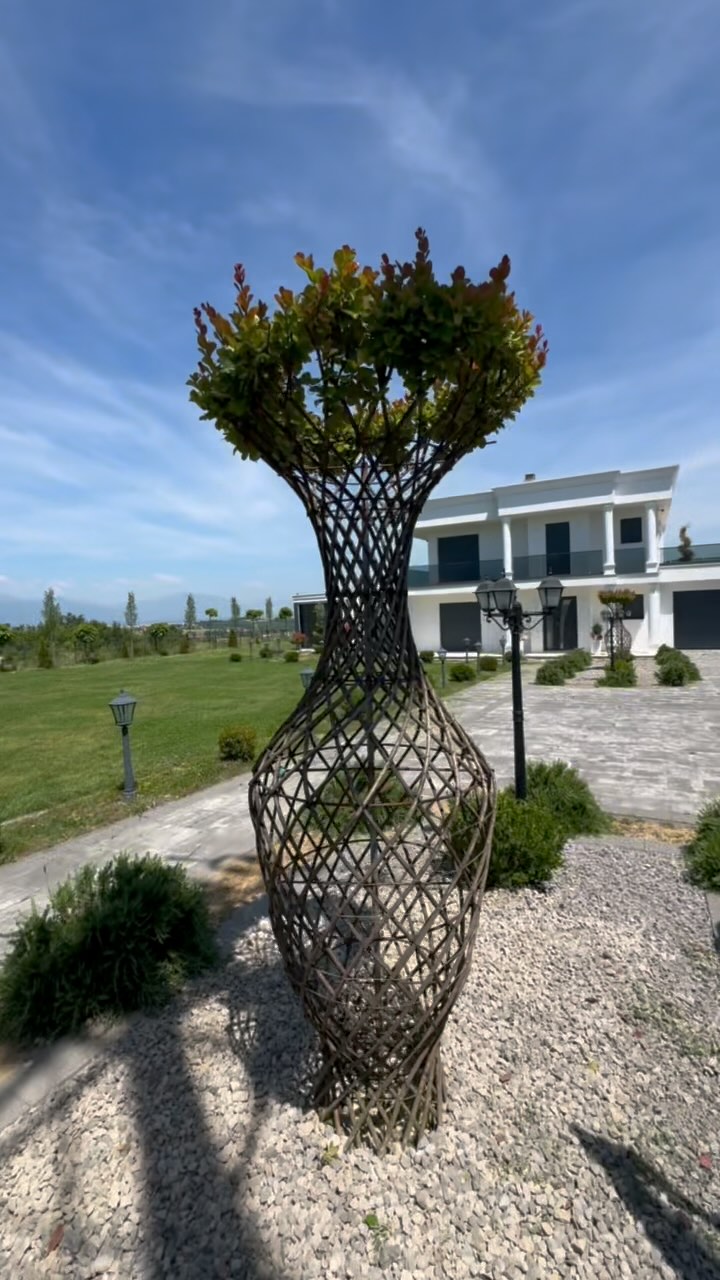 Pemë lagerstroemia me lule – Fidanishte & Lulishte GARDEN