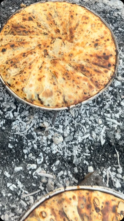 Flija e shpisë me saç