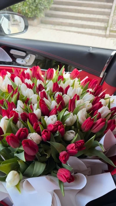 Buqetë e madhe tulipanësh të kuq e të bardhë