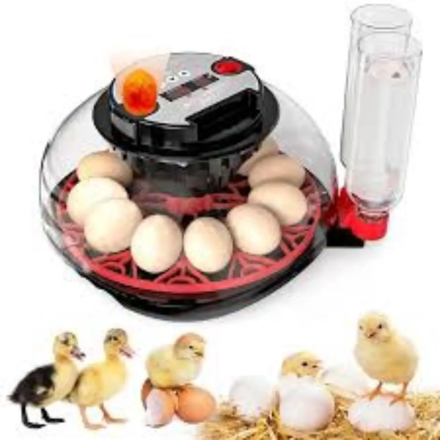 Inkubator vezësh M12H për 12 vezë – kosova_shop_online📦🛒 (3)