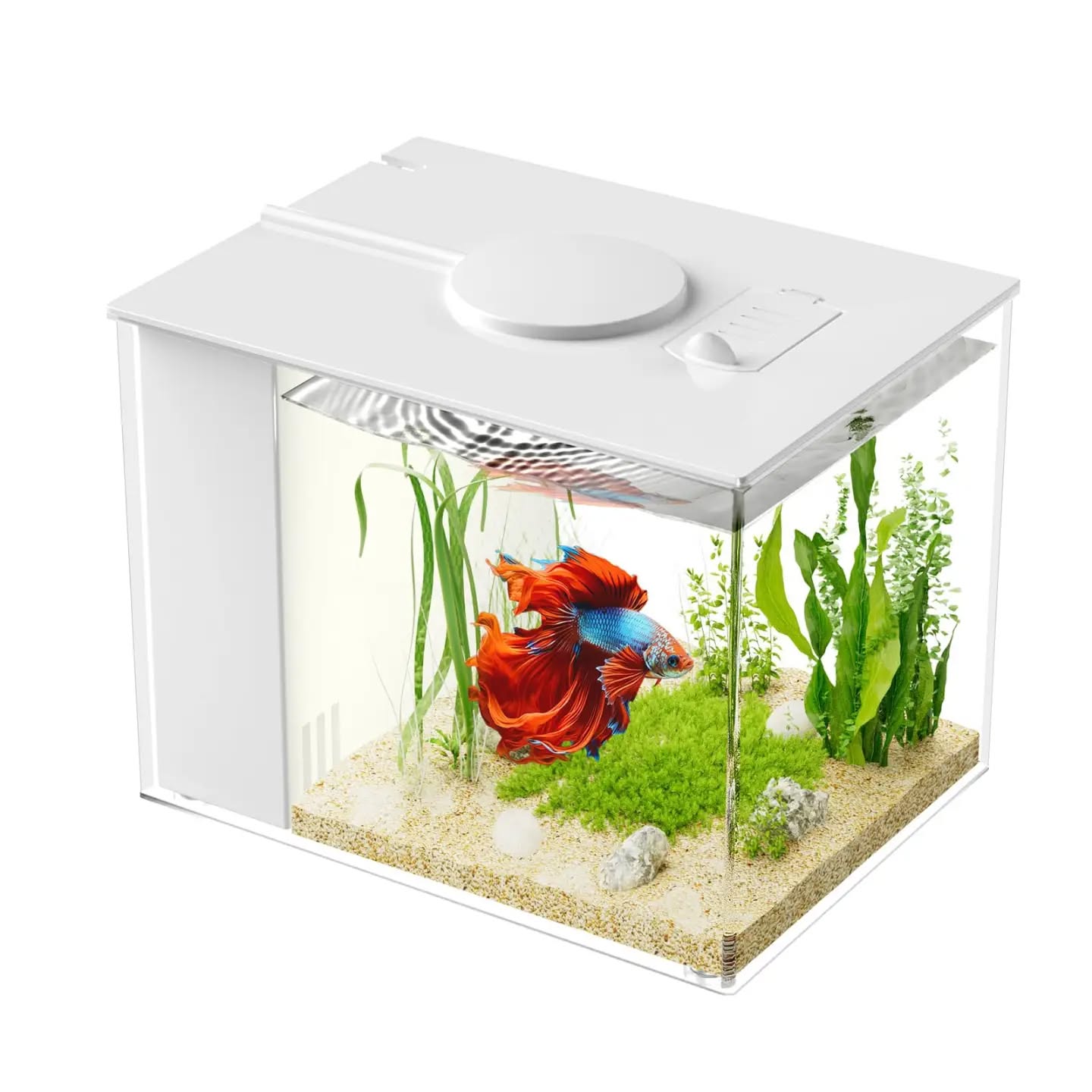 Akuarium i vogël Vepiha 2.9L – kosova_shop_online📦🛒