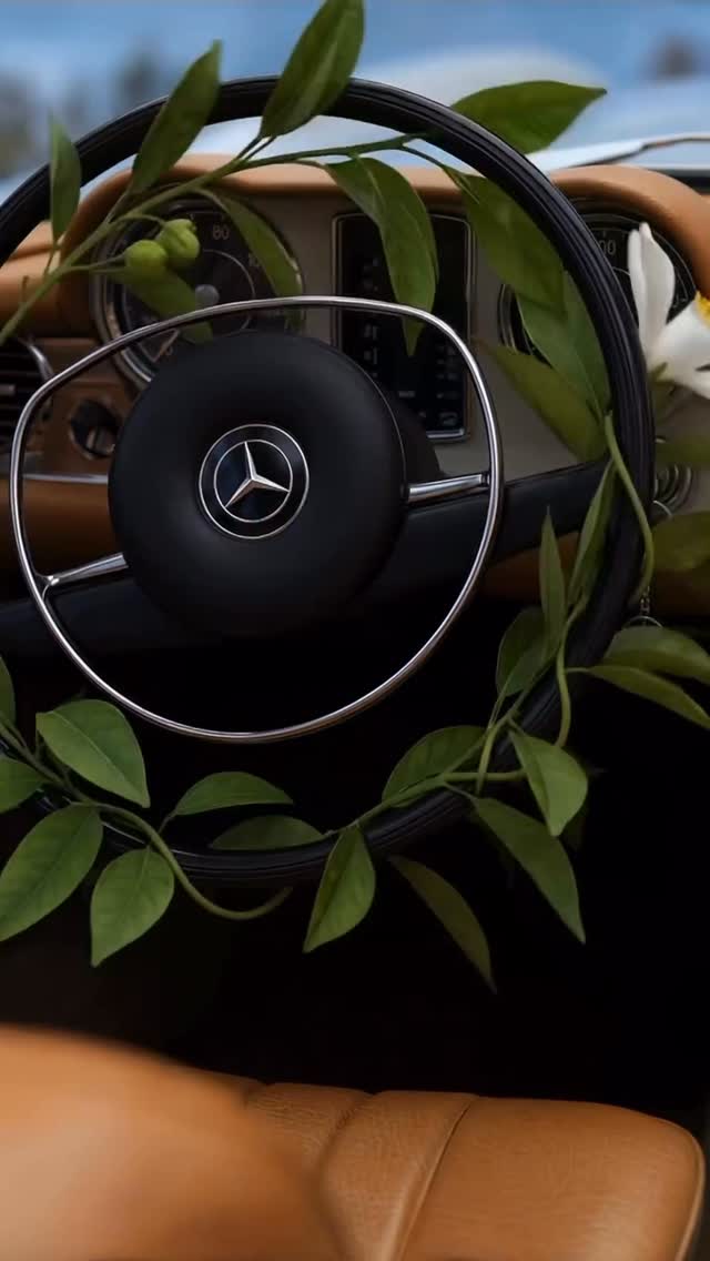 Parfum floral I Am Mercedes me vanilje – Mercedes-Benz Parfums-Kosovo
