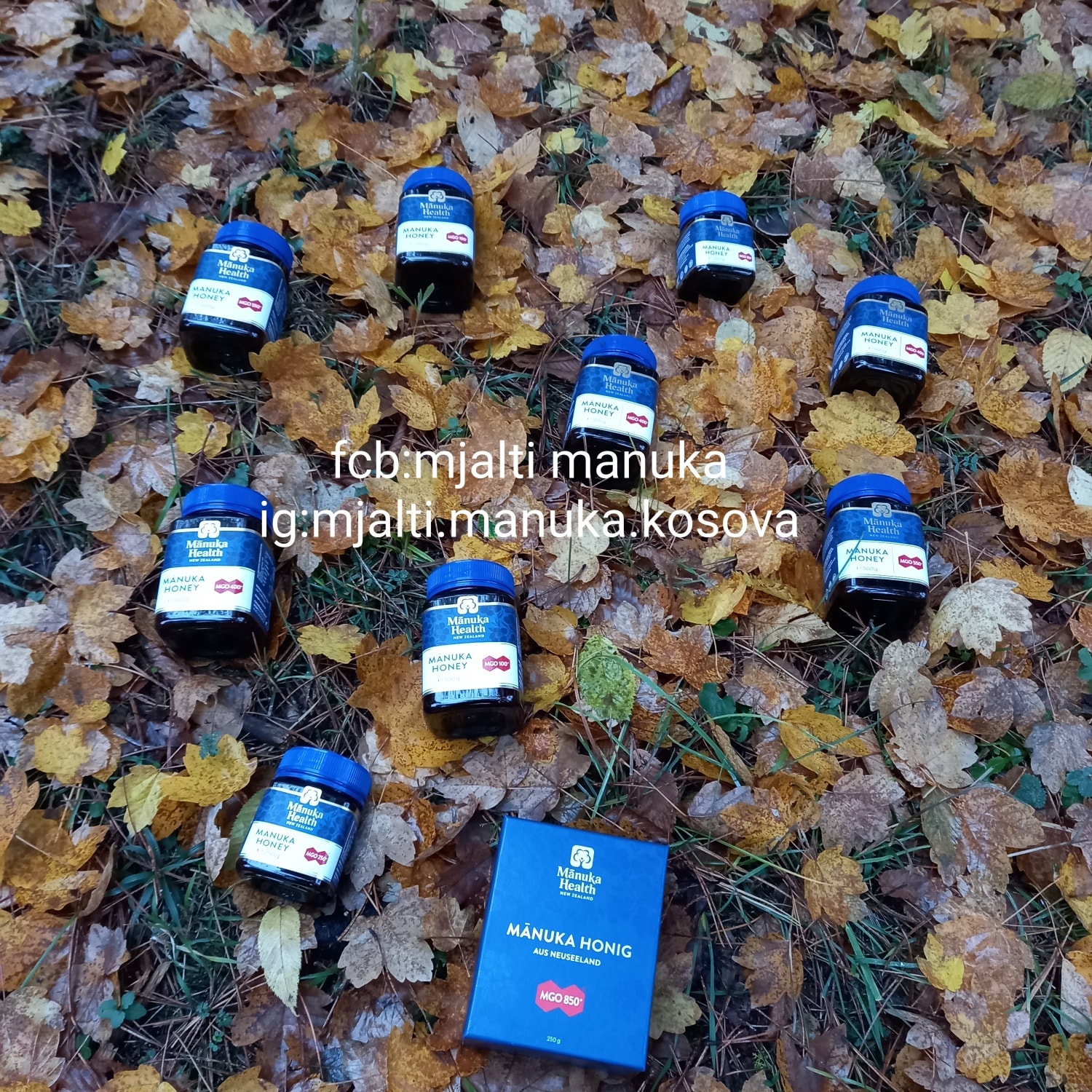 Kavanoza mjalti Manuka Health me kuti – mjalti manuka kosovë