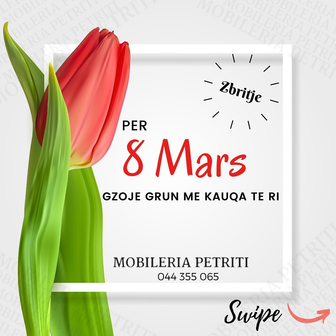 Urim për 8 Marsin me tulipan – 🛋 MOBILERIA PETRITI