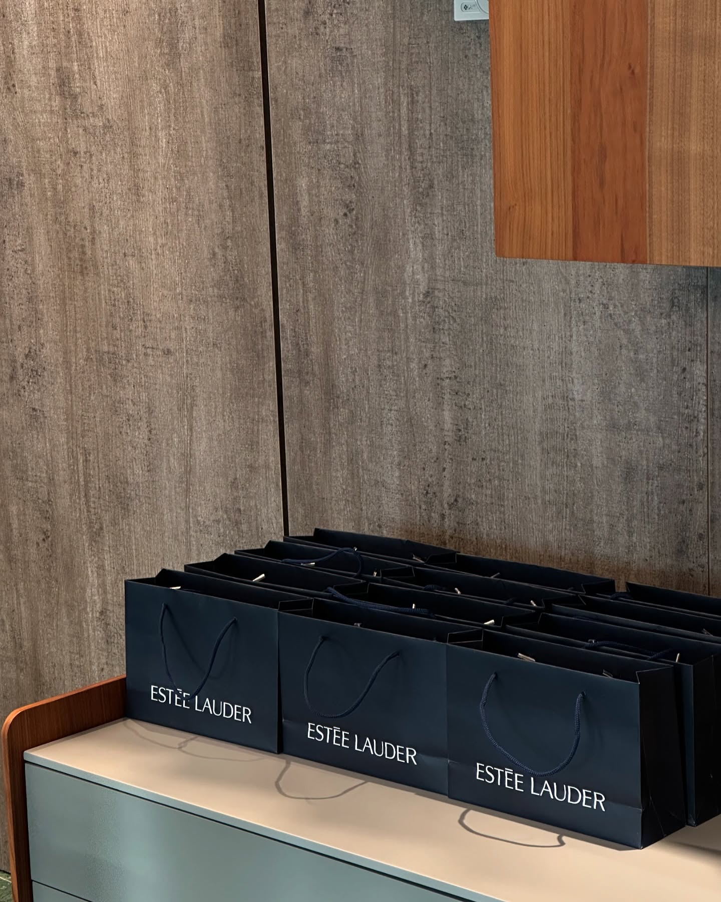 Prezantim i produkteve Estée Lauder – Orbico Kosova Beauty (2)